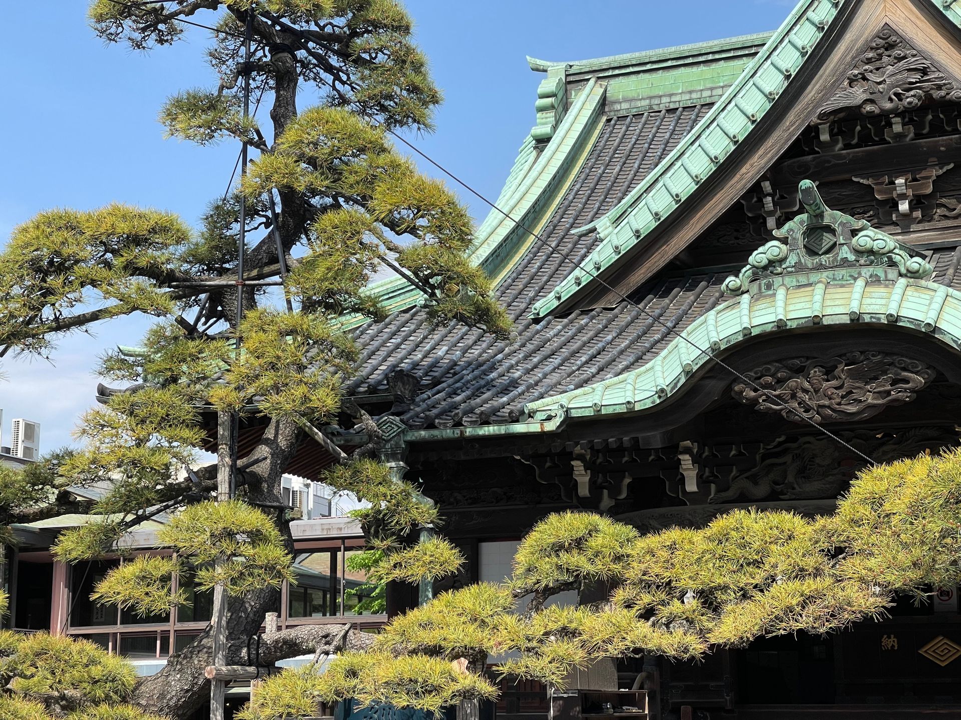 Should I stay or should I go?