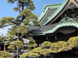 Should I stay or should I go?